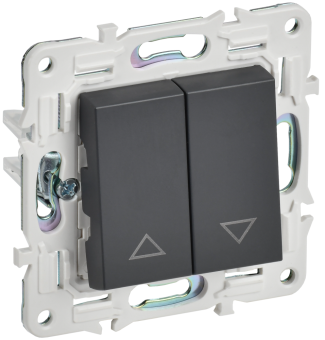 Выключатель 2-кл 10А С/У для жалюзи Титан Skandy