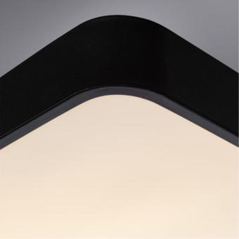 Потолочный светильник Scena A2663PL-1BK Arte Lamp