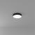 Потолочный светильник Fado A7335PL-1BK Arte Lamp