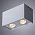 Накладной светильник A5544PL-2WH Arte Lamp