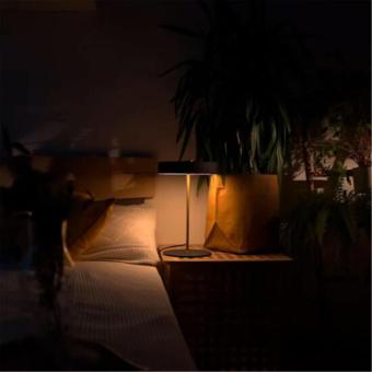 Настольная лампа Elnath A5038LT-3BK Arte Lamp