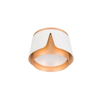 Потолочный светильник Amaks A8028PL-1WH Arte Lamp