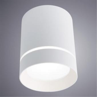 Накладной светильник A1909PL-1WH Arte Lamp