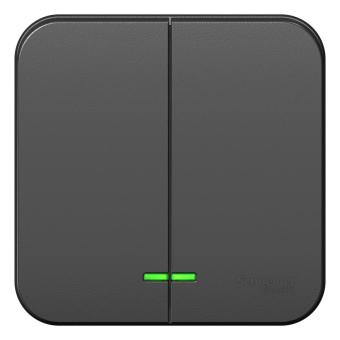 Выключатель 2-кл 10А О/У с индикатором изолирующая пластина Антрацит Blanca