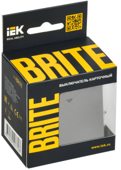 Выключатель карточный 30А С/У Сталь Brite