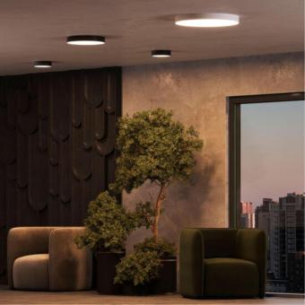 Потолочный светильник Fado A7350PL-1BK Arte Lamp