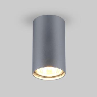 Накладной светильник 1081 серебряный Elektrostandard