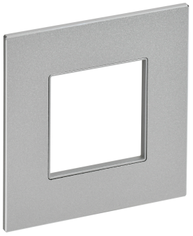 Рамка 1-м Металл серебряный Skandy