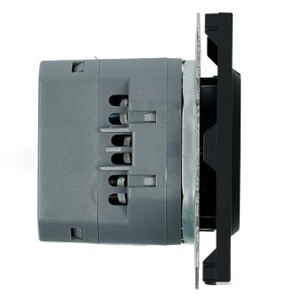Розетка 1-м 16А С/У З/К со шторками+USB + Type C Черный уголь Эмили