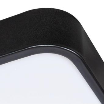 Потолочный светильник Scena A2669PL-1BK Arte Lamp